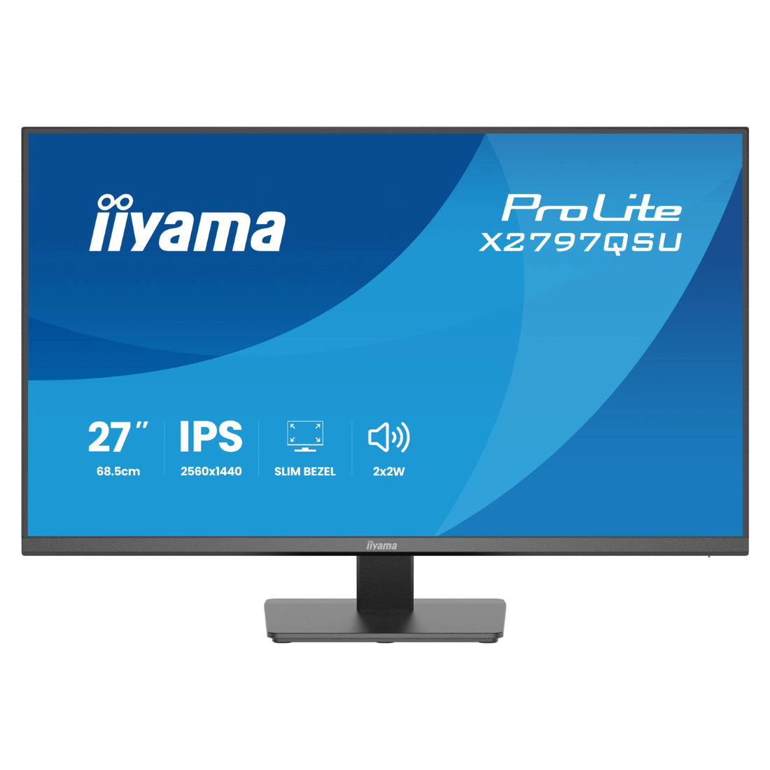 Монитор iiyama ProLite PL2492H XUB2492HSU-W6 24"